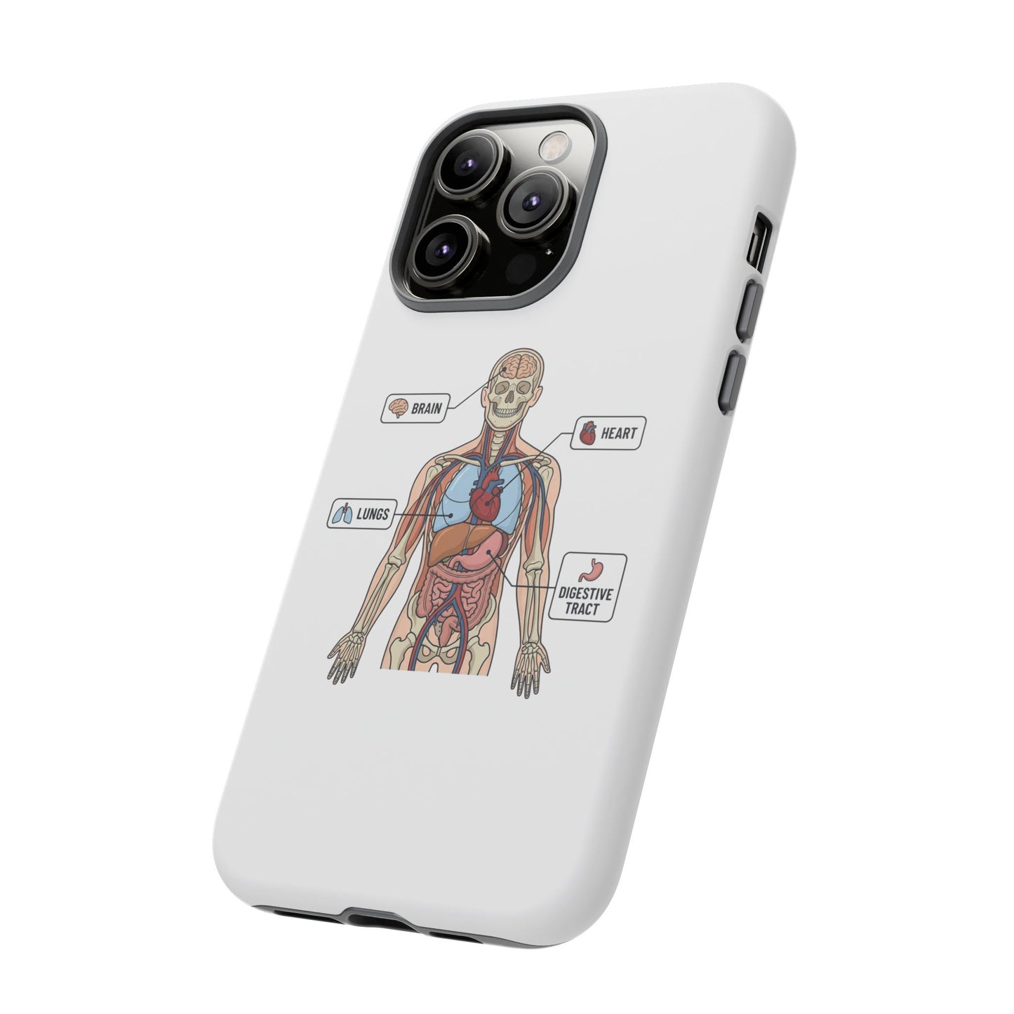 Anatomy Case — Medical Student Human Anatomy Study Aid