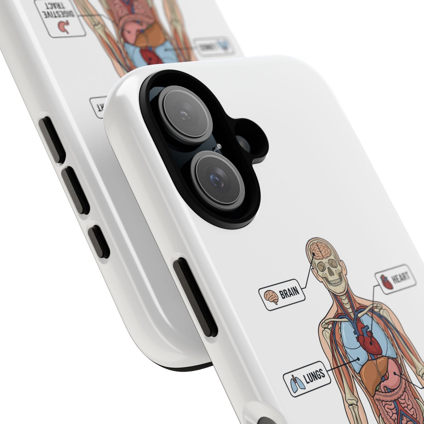 Anatomy Case — Medical Student Human Anatomy Study Aid