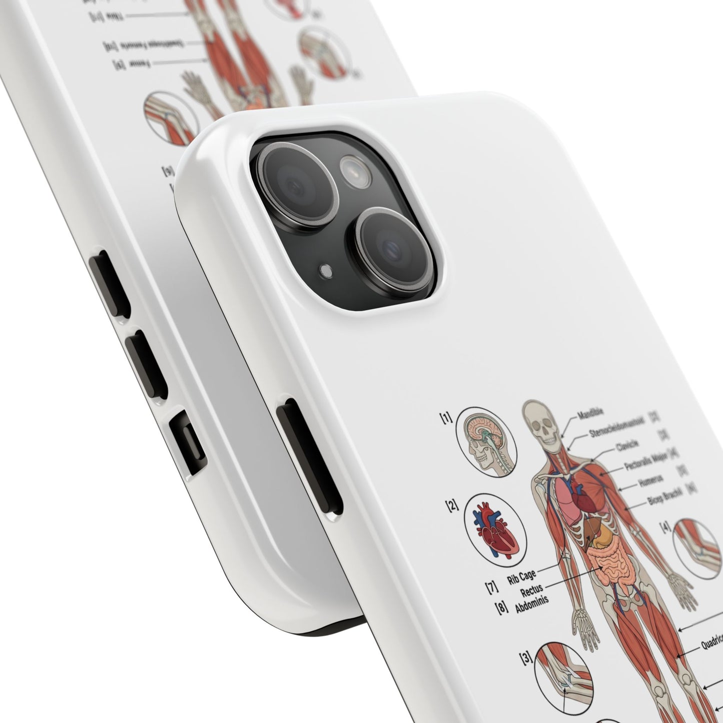 Anatomy Study Phone Case — Human Anatomy Diagram for Medical Students