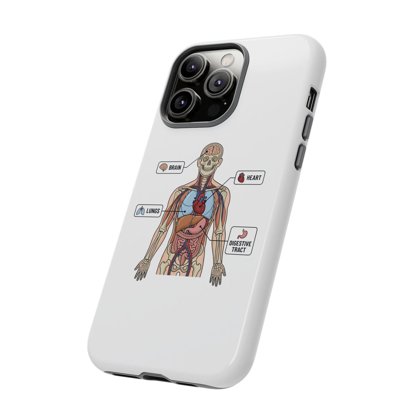 Anatomy Case — Medical Student Human Anatomy Study Aid