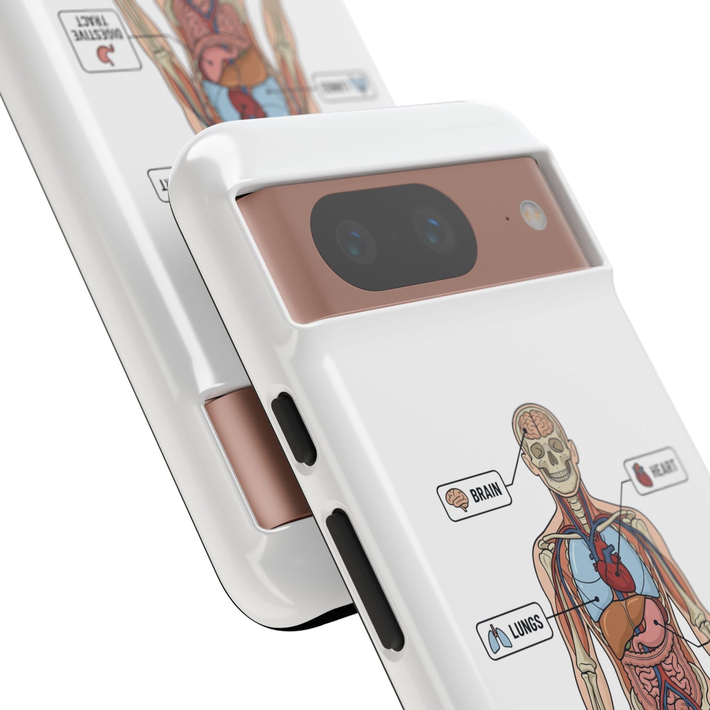 Anatomy Case — Medical Student Human Anatomy Study Aid