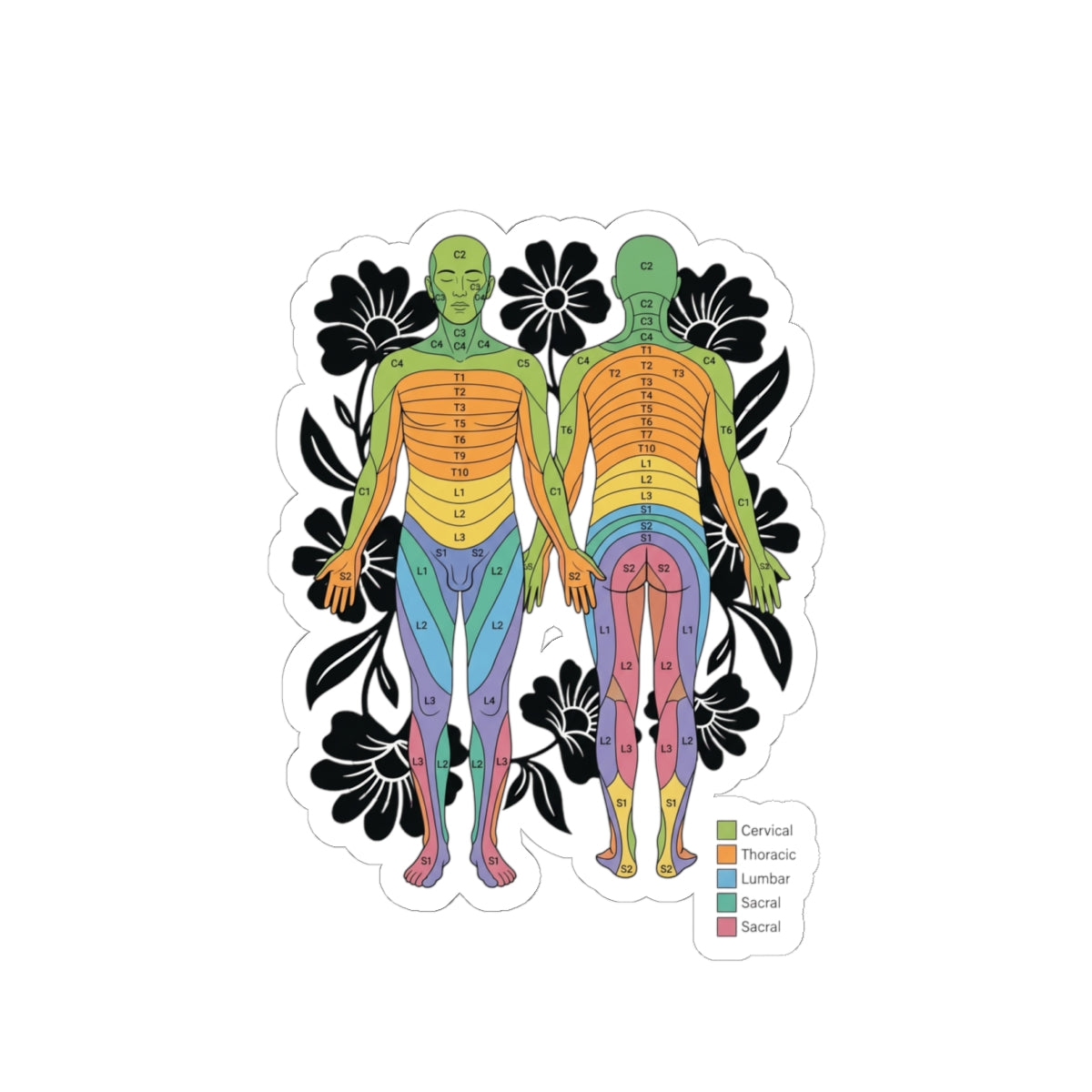Chakra Anatomy Diagram Sticker | People Over Profit, Values-Led