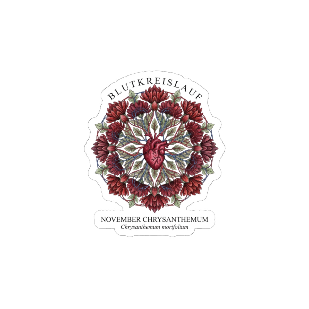 November Chrysanthemum Sticker | Birth Flower, Botanical Illustration