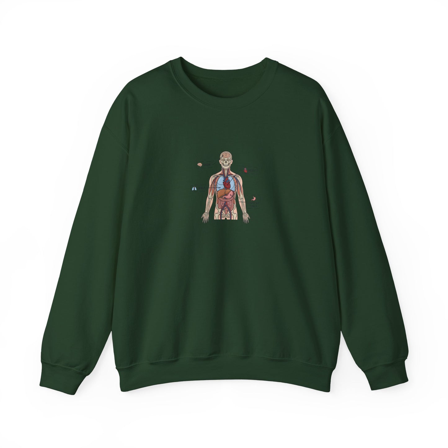 Anatomy Study Crewneck Sweatshirt — Human Anatomy Diagram for Medical Students