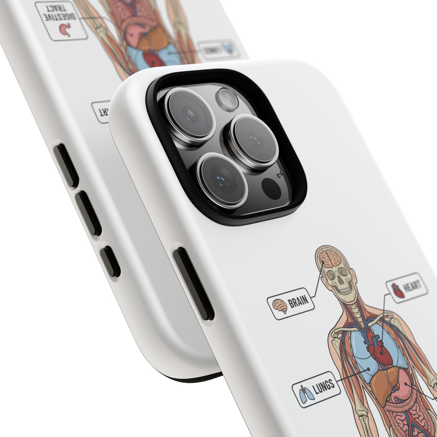 Anatomy Case — Medical Student Human Anatomy Study Aid