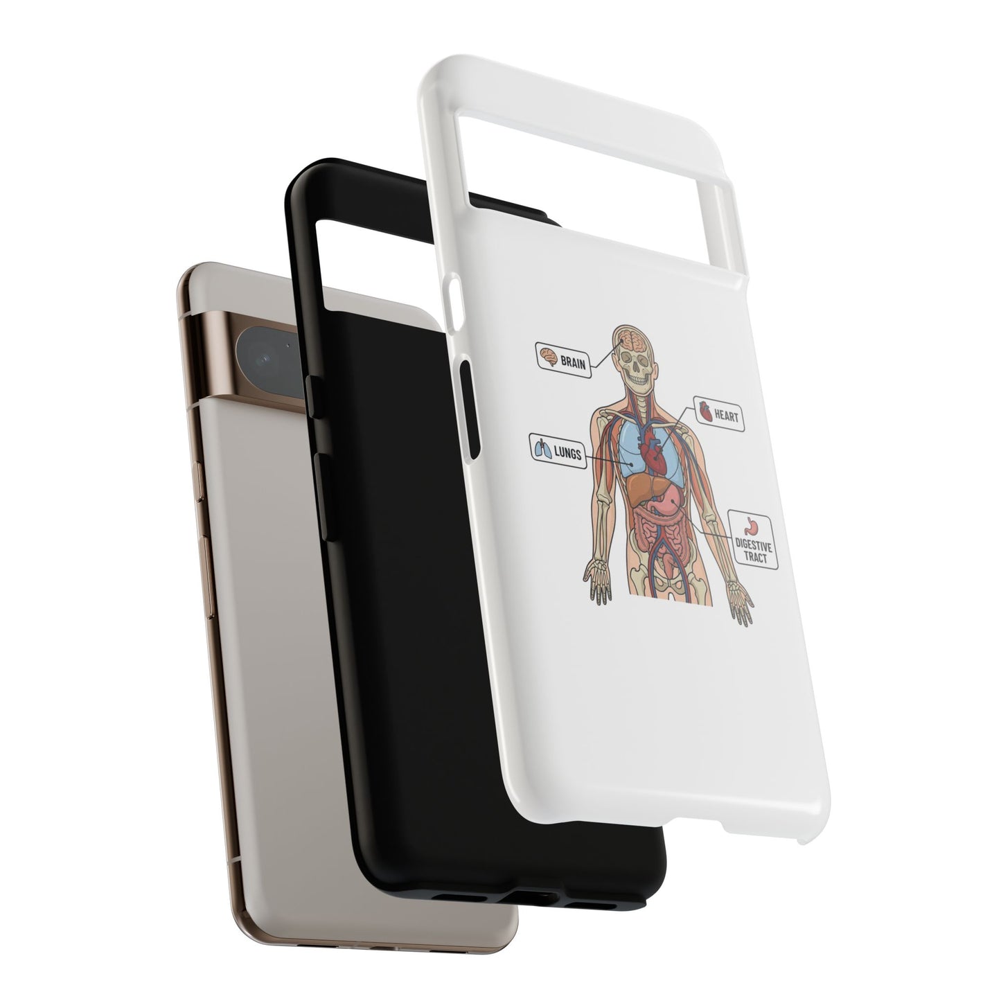 Anatomy Case — Medical Student Human Anatomy Study Aid