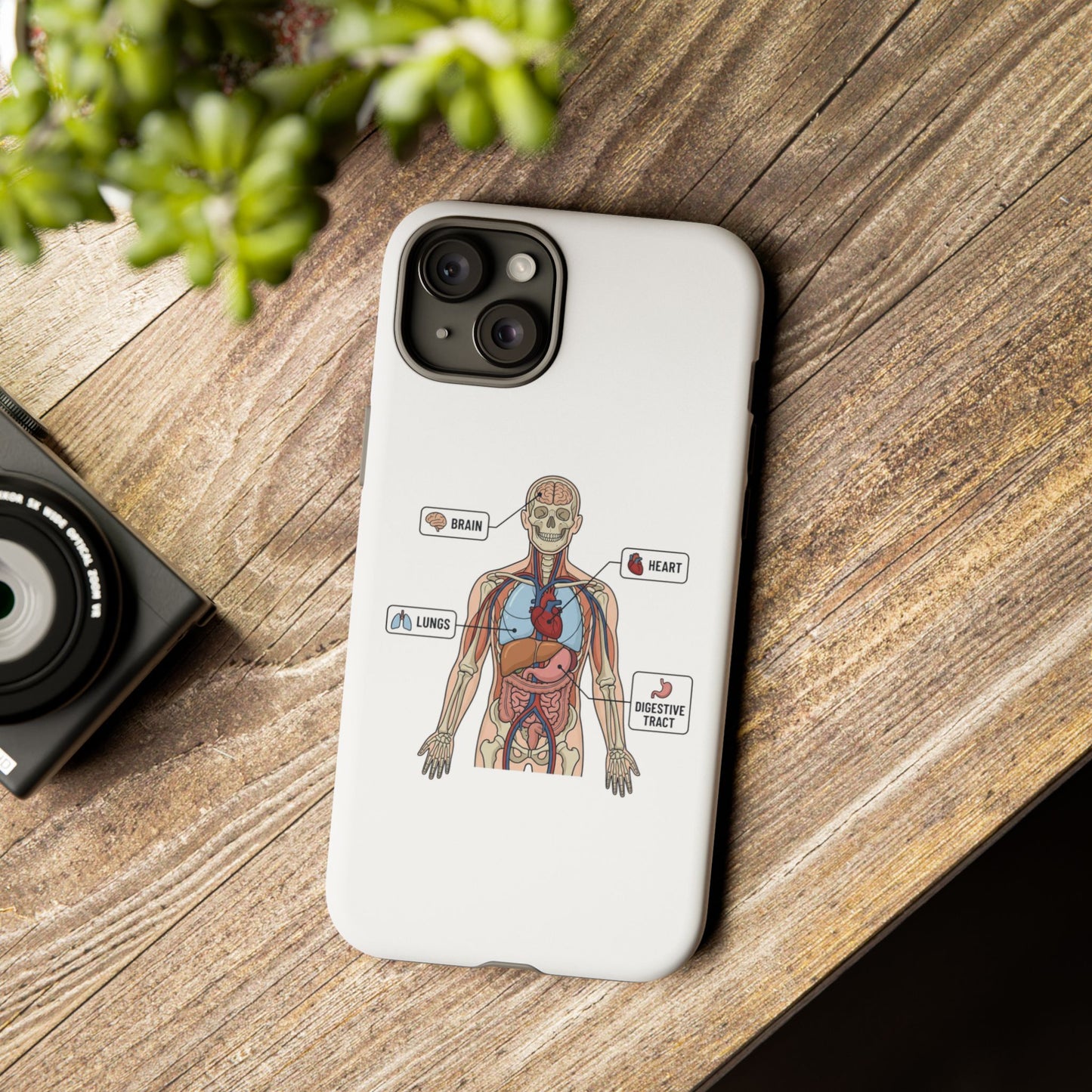 Anatomy Case — Medical Student Human Anatomy Study Aid