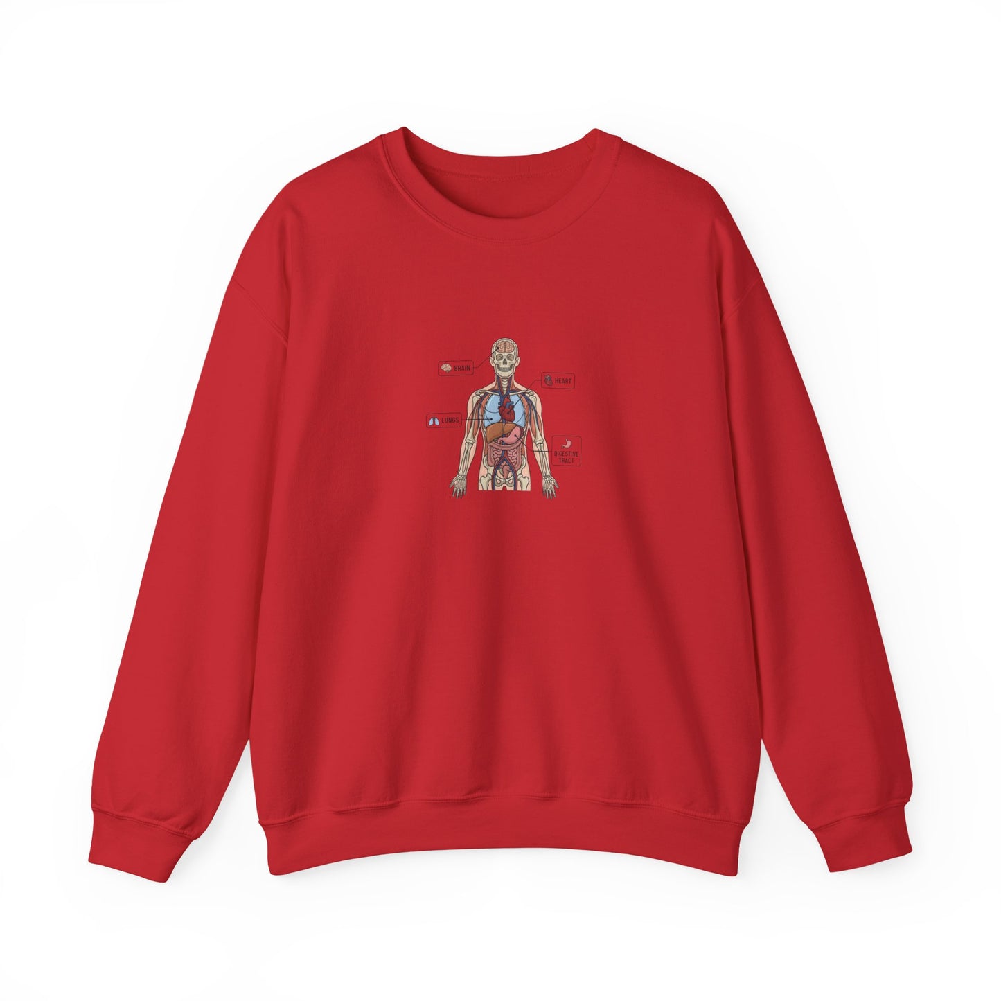 Anatomy Study Crewneck Sweatshirt — Human Anatomy Diagram for Medical Students