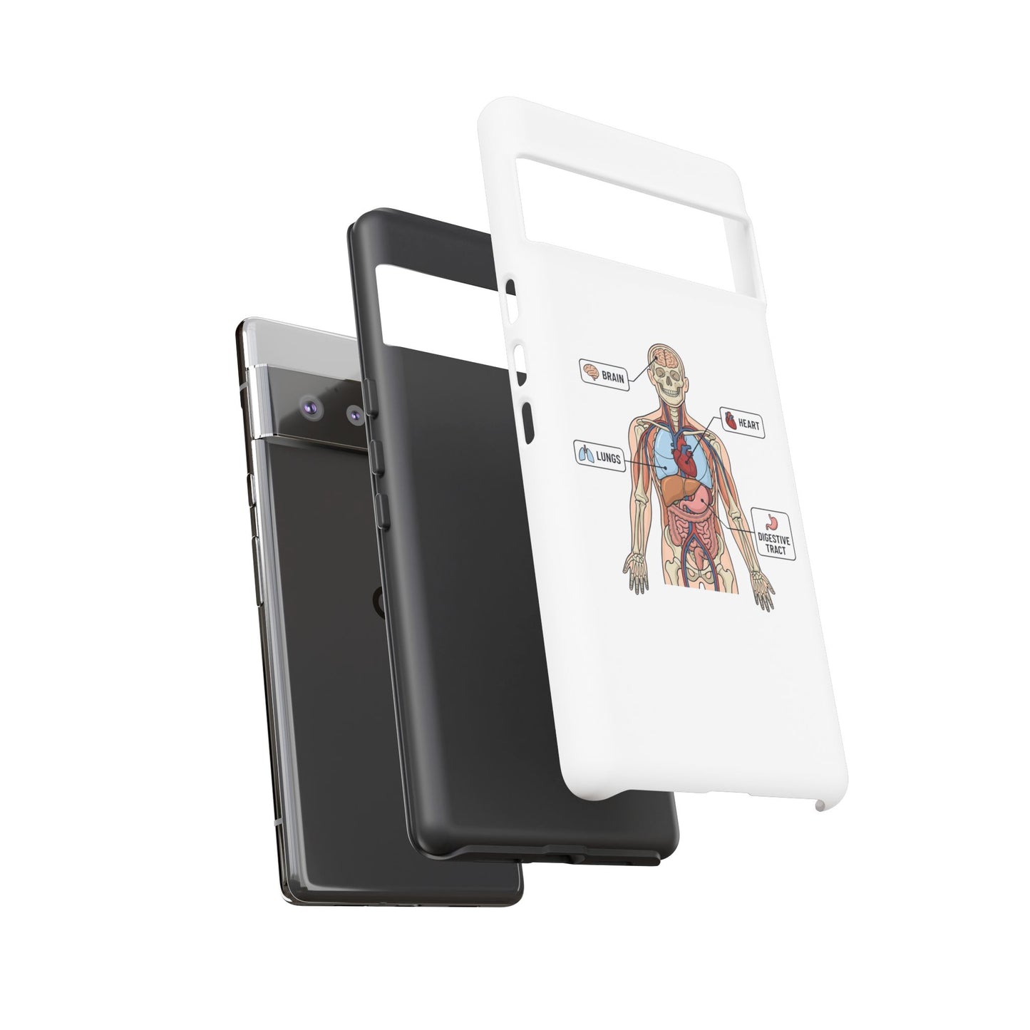 Anatomy Case — Medical Student Human Anatomy Study Aid