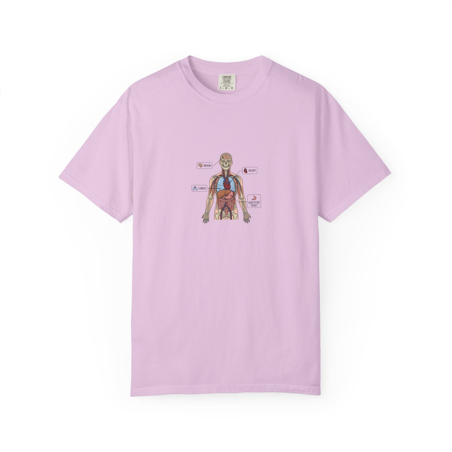 Human Anatomy Diagram T-Shirt — Medical Student Anatomy Tee