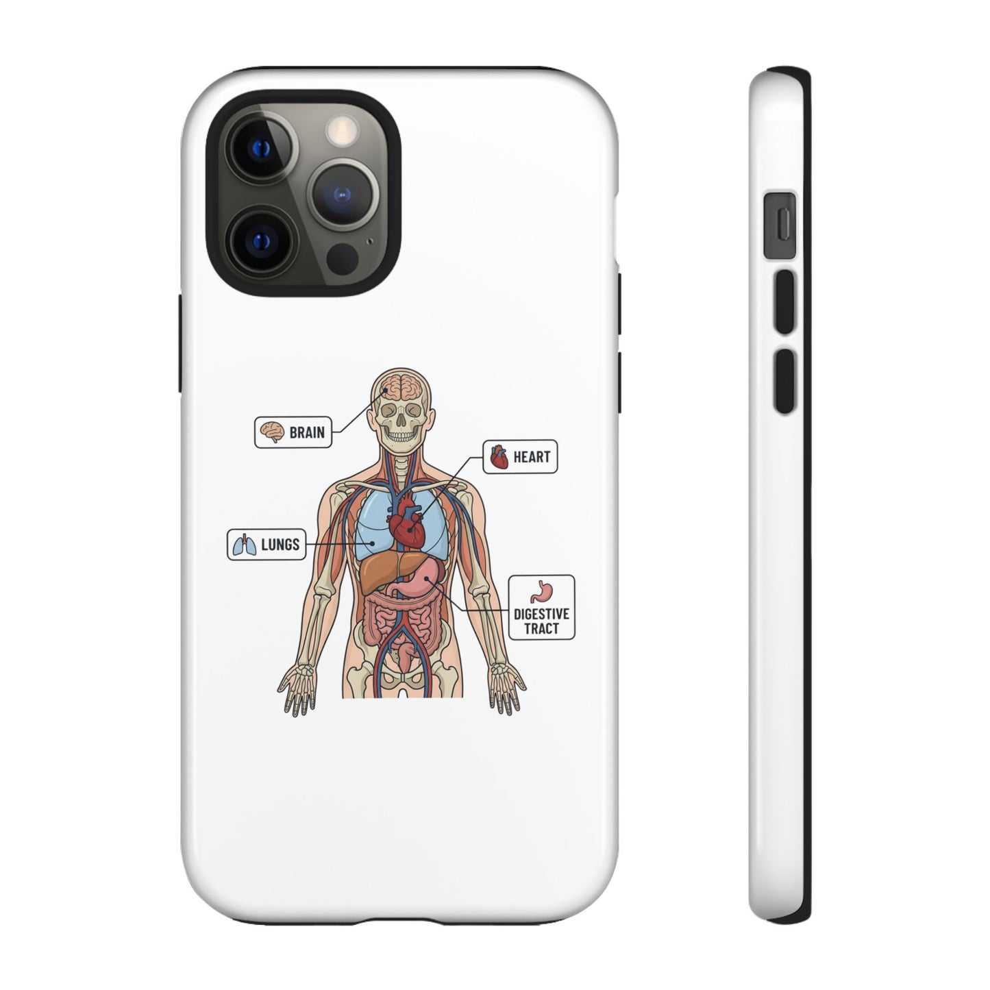 Anatomy Case — Medical Student Human Anatomy Study Aid