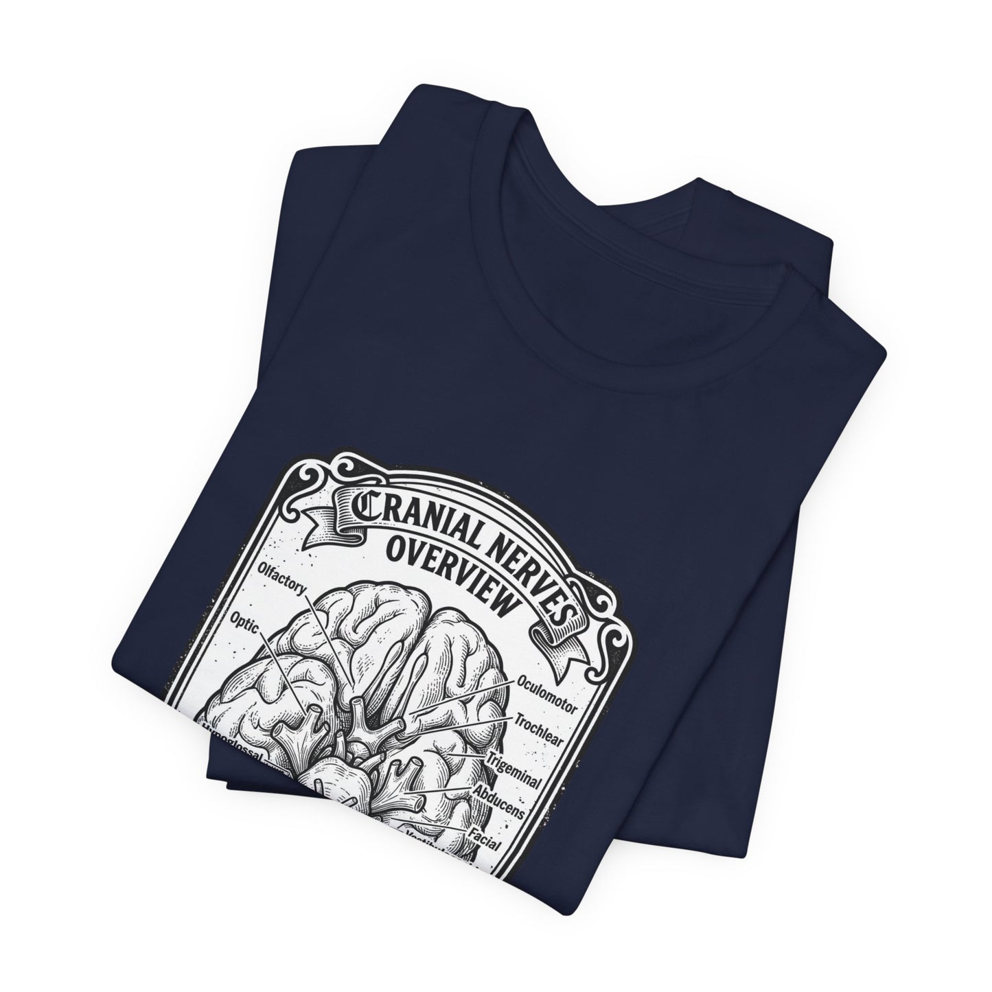 Cranial Nerves Illustration Tee | People Over Profit, Values-Led Apparel