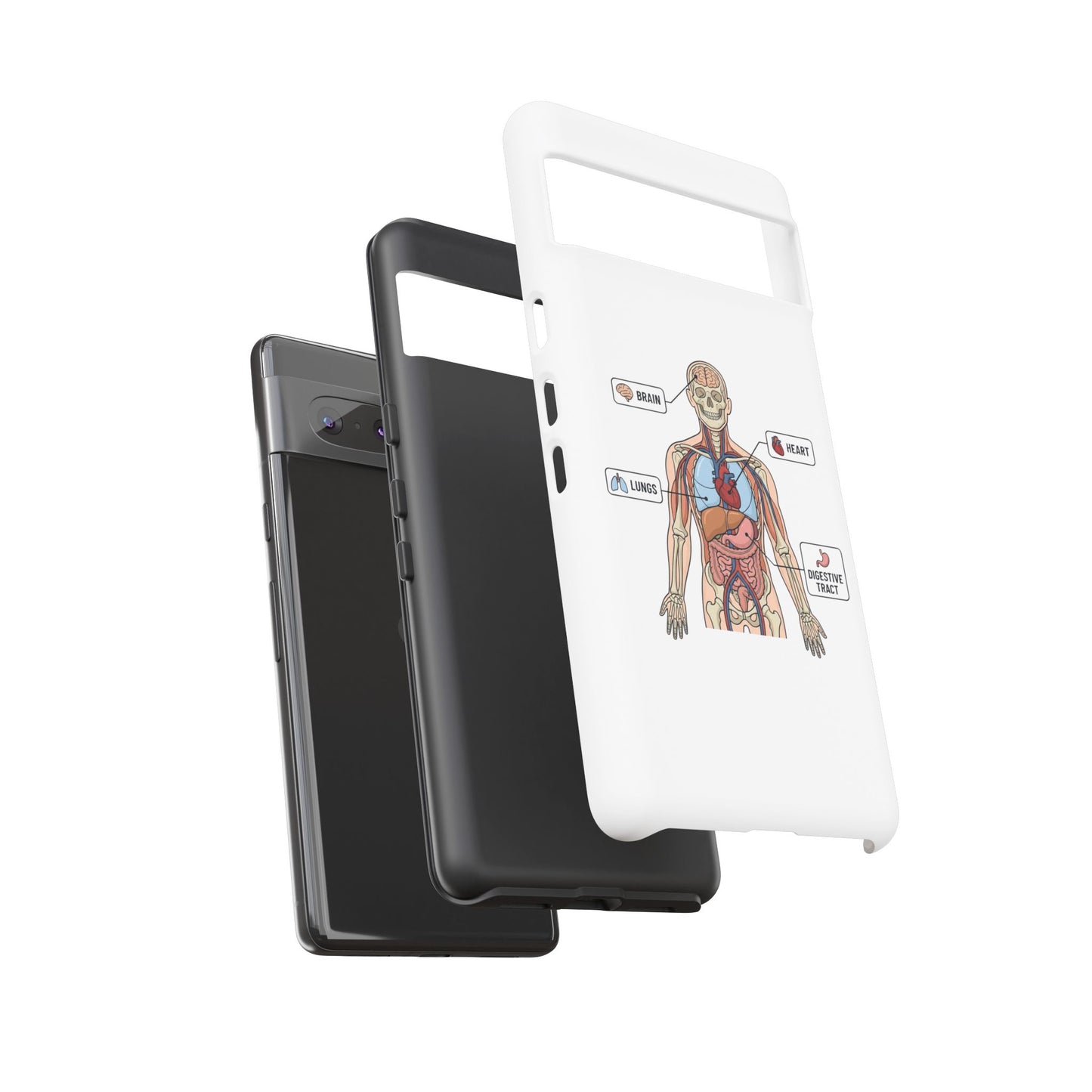 Anatomy Case — Medical Student Human Anatomy Study Aid