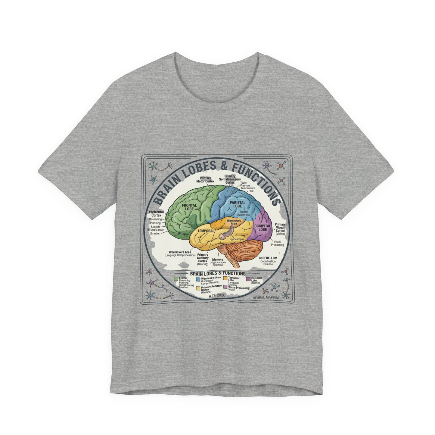 Brain Lobes & Functions T-Shirt | 250th Fourth of July, Patriotic Milestone