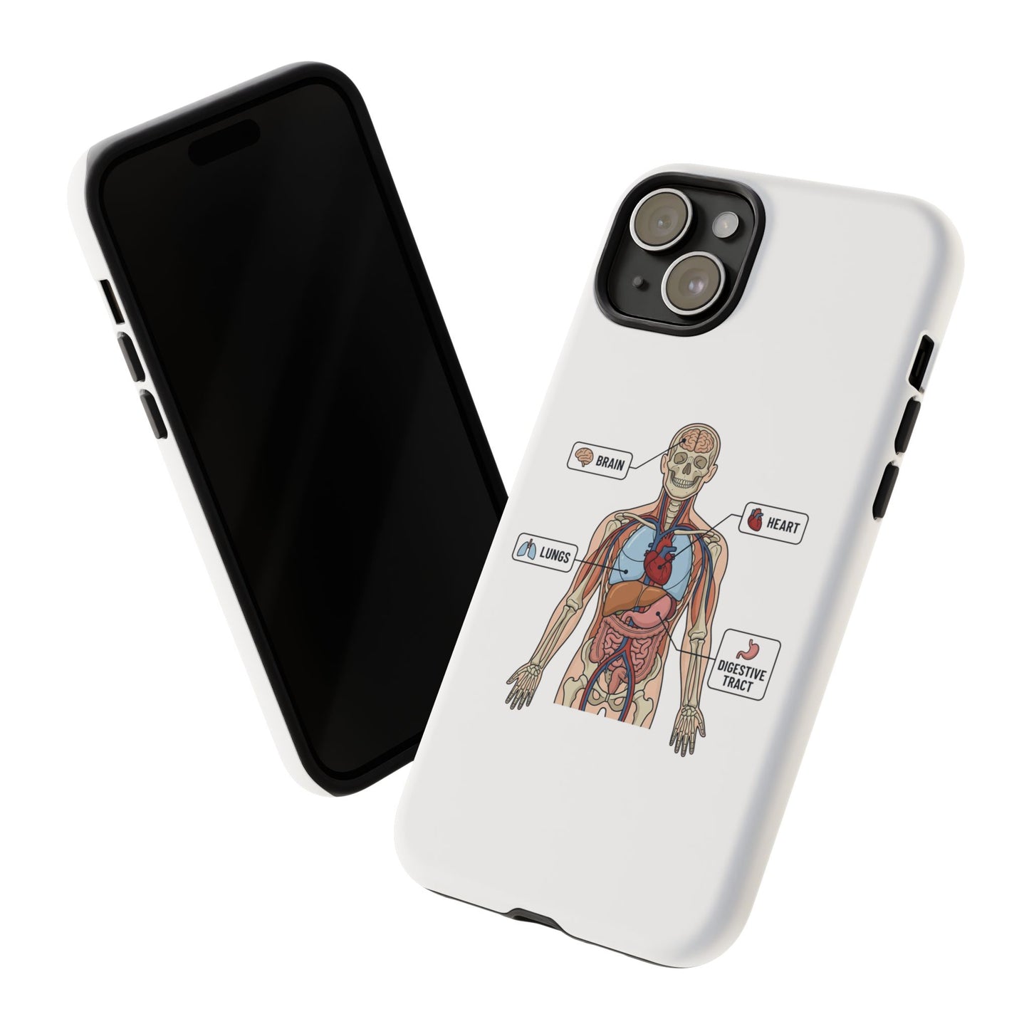 Anatomy Case — Medical Student Human Anatomy Study Aid