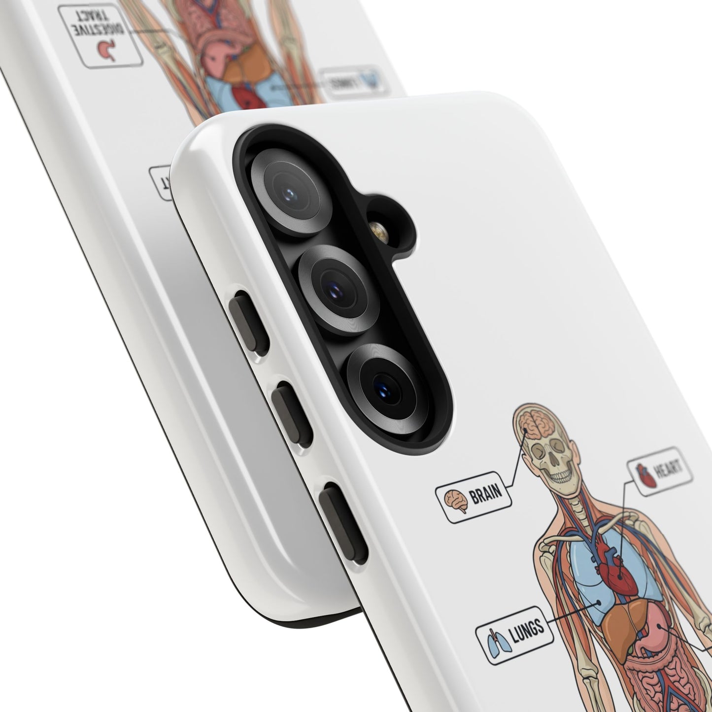 Anatomy Case — Medical Student Human Anatomy Study Aid