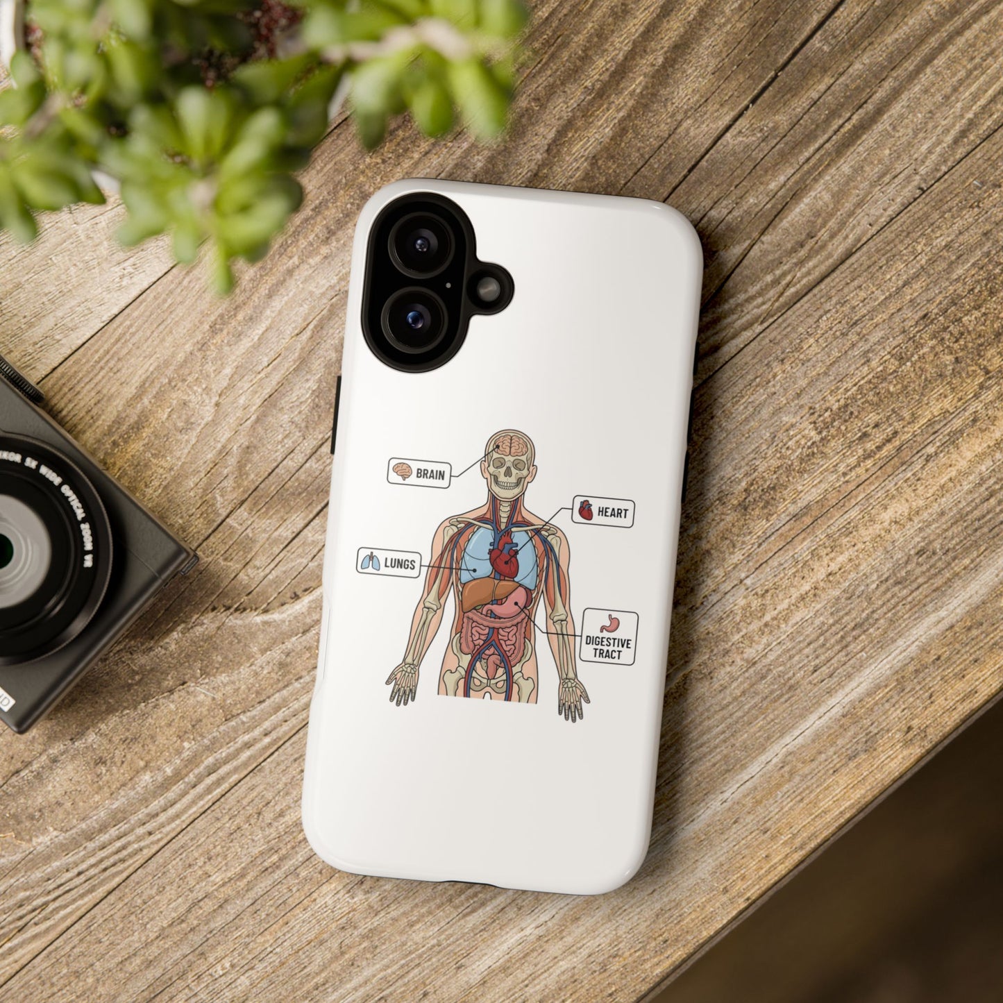 Anatomy Case — Medical Student Human Anatomy Study Aid