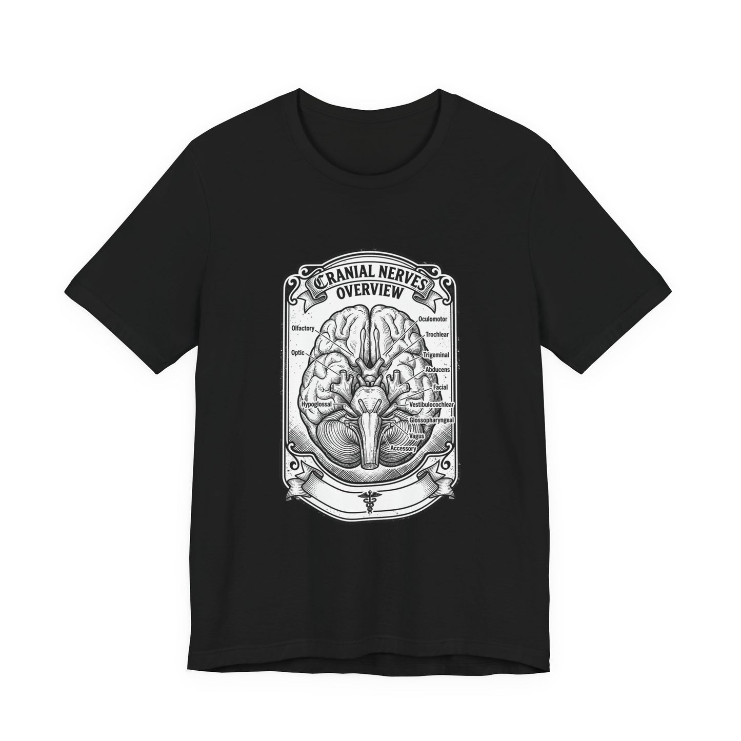 Cranial Nerves Illustration Tee | People Over Profit, Values-Led Apparel