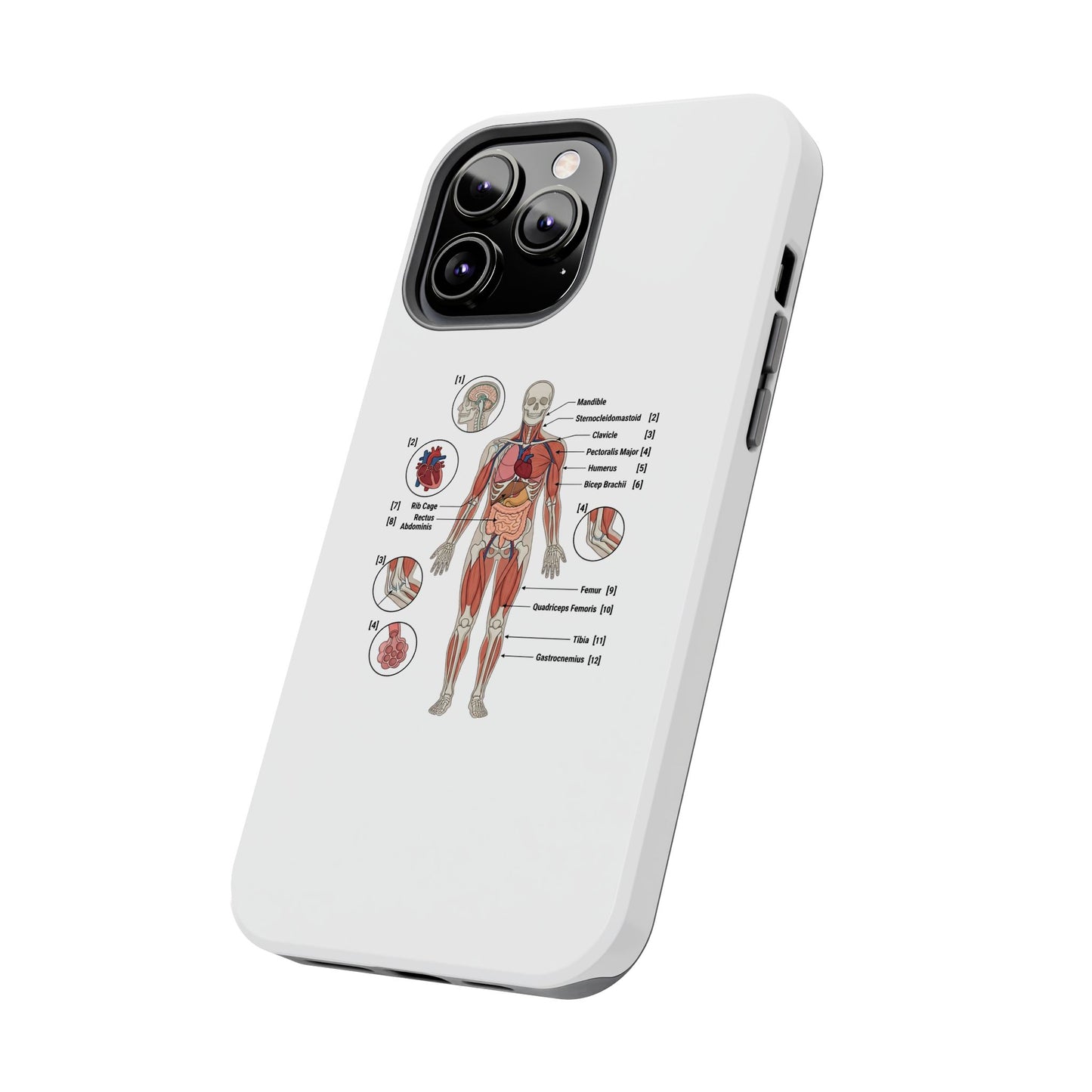 Anatomy Study Phone Case — Human Anatomy Diagram for Medical Students
