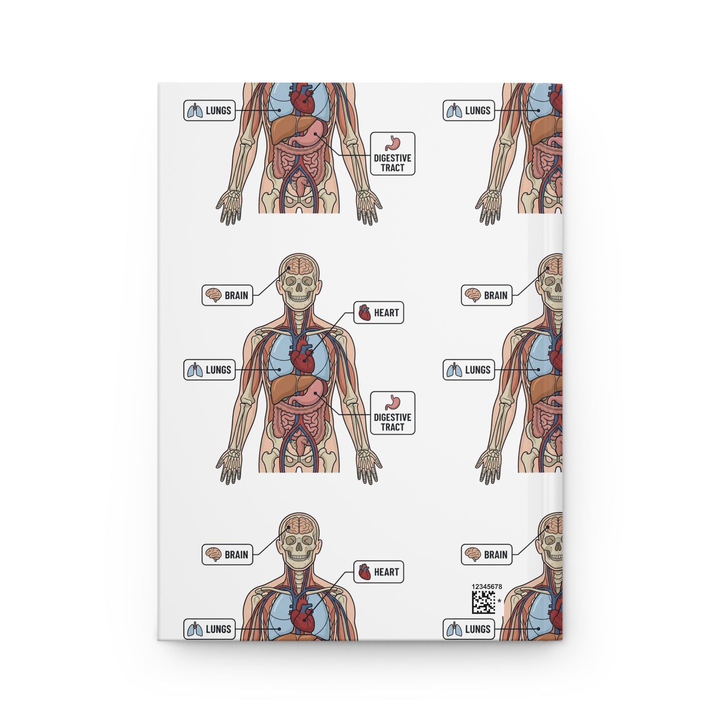 Human Anatomy Hardcover Journal — Medical Student Anatomy Notebook