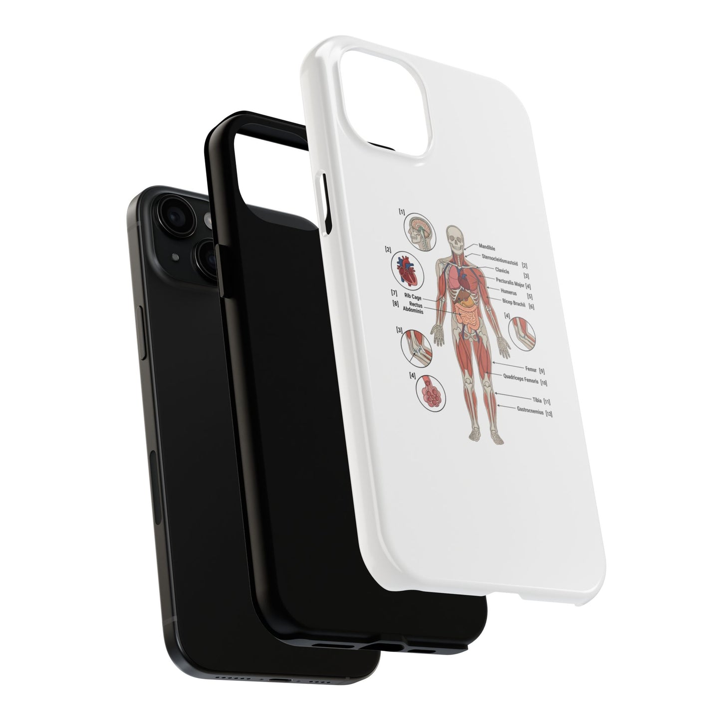 Anatomy Study Phone Case — Human Anatomy Diagram for Medical Students