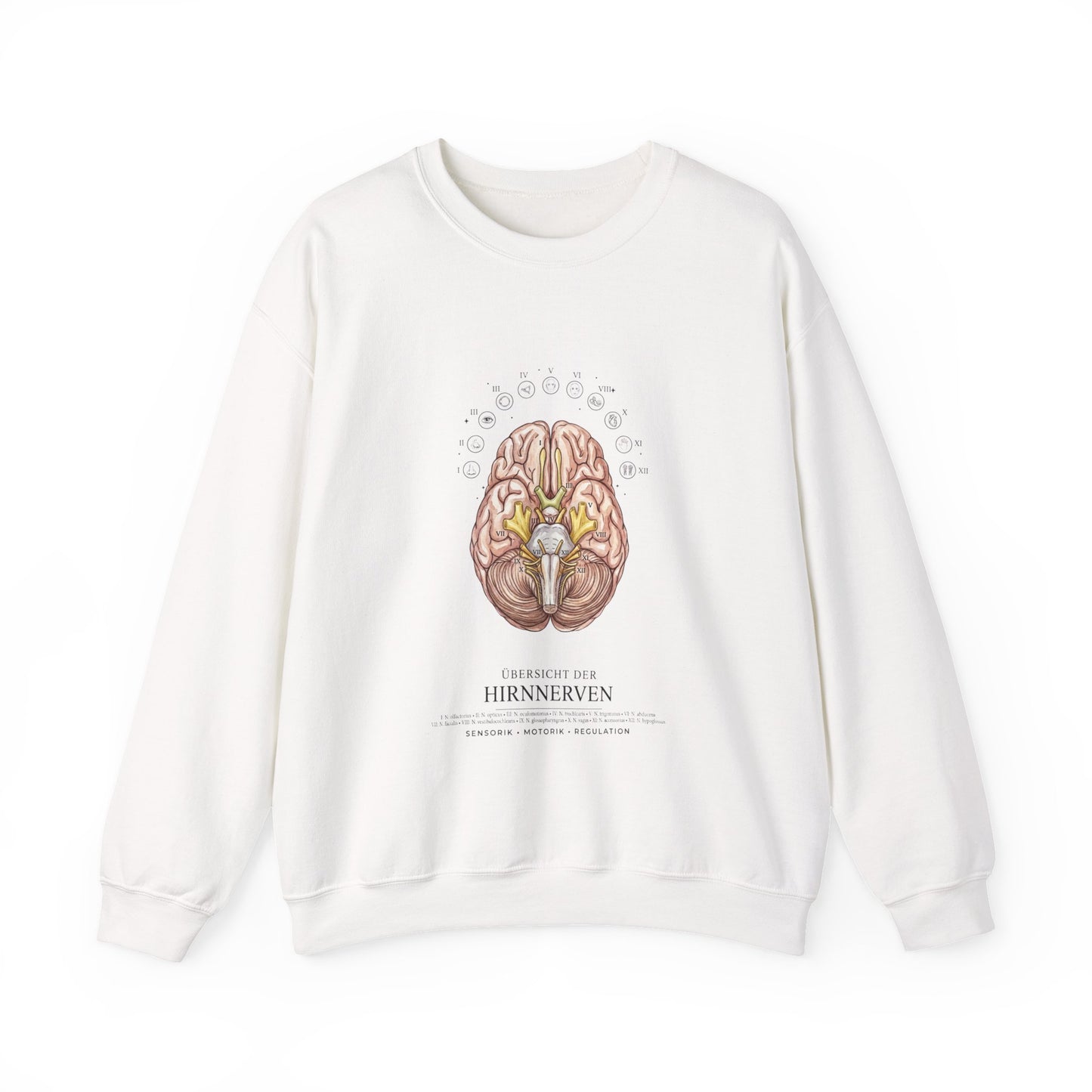 Anatomical Brain Botanical Sweatshirt | Birth Flower, Botanical Anatomy