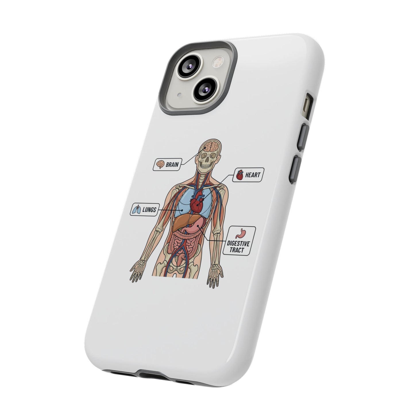 Anatomy Case — Medical Student Human Anatomy Study Aid