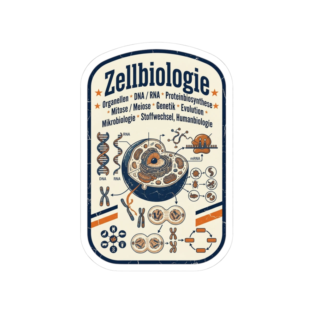Cell Biology Diagram Kiss-Cut Sticker | NY Basketball City Pride