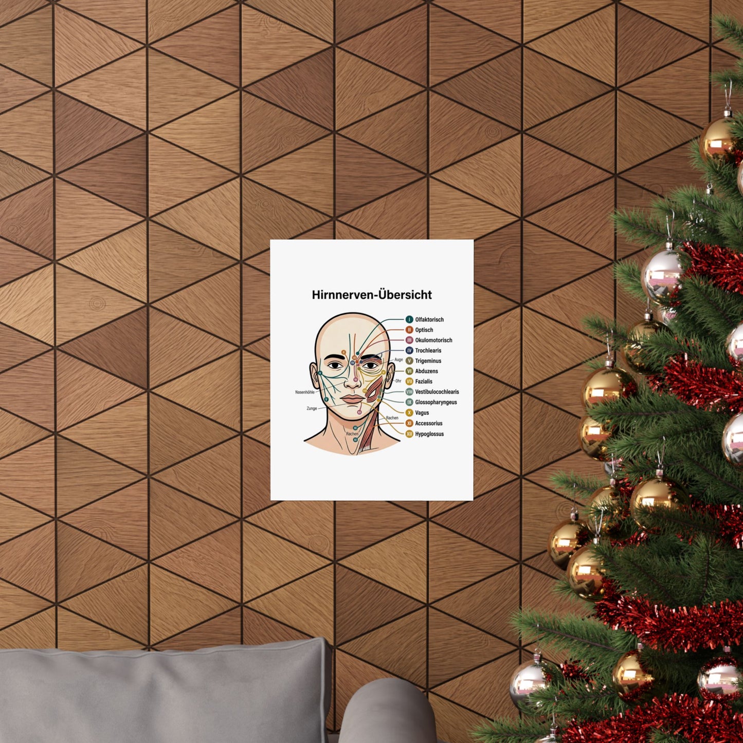 Anatomy Poster — Hirnnerven-Übersicht Matte Vertical Poster