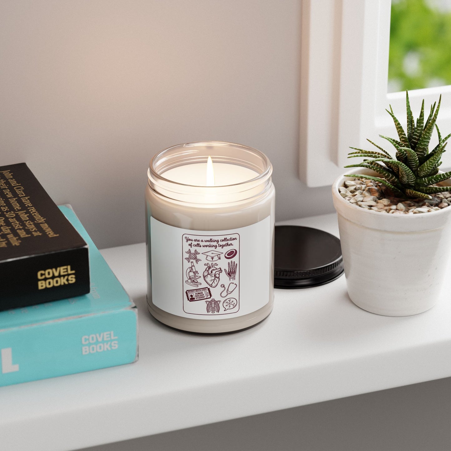Philadelphia Baseball Pride Candle | City Fan Soy Candle, Local Sportswear Vibe