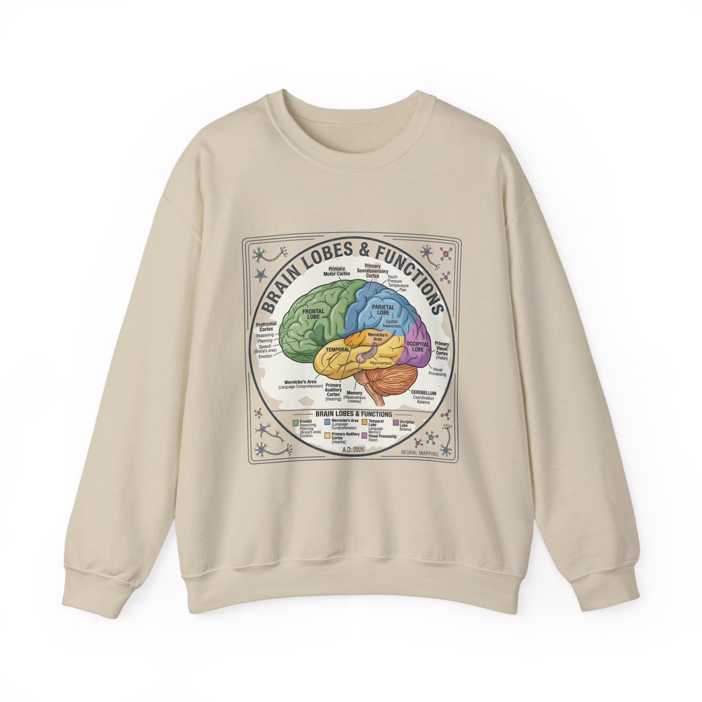 Brain Lobes Diagram Sweatshirt | 250th 4th of July Patriotic Milestone