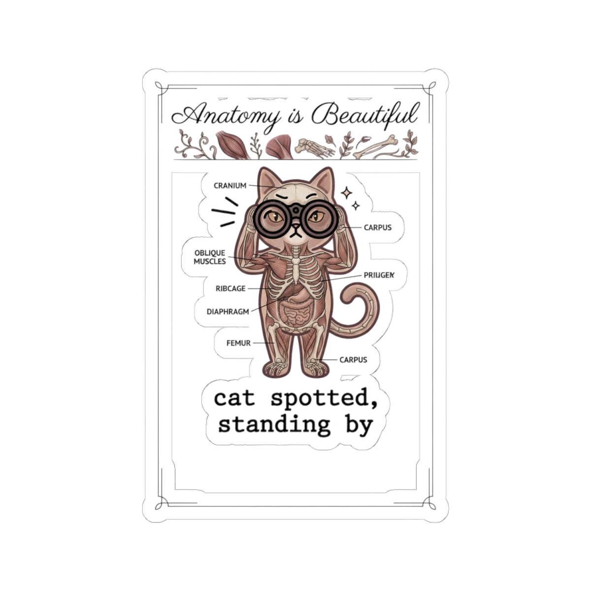 Anatomy Cat Illustration Kiss-Cut Stickers | Cat-Centric Novelty, Whimsical Anatomy