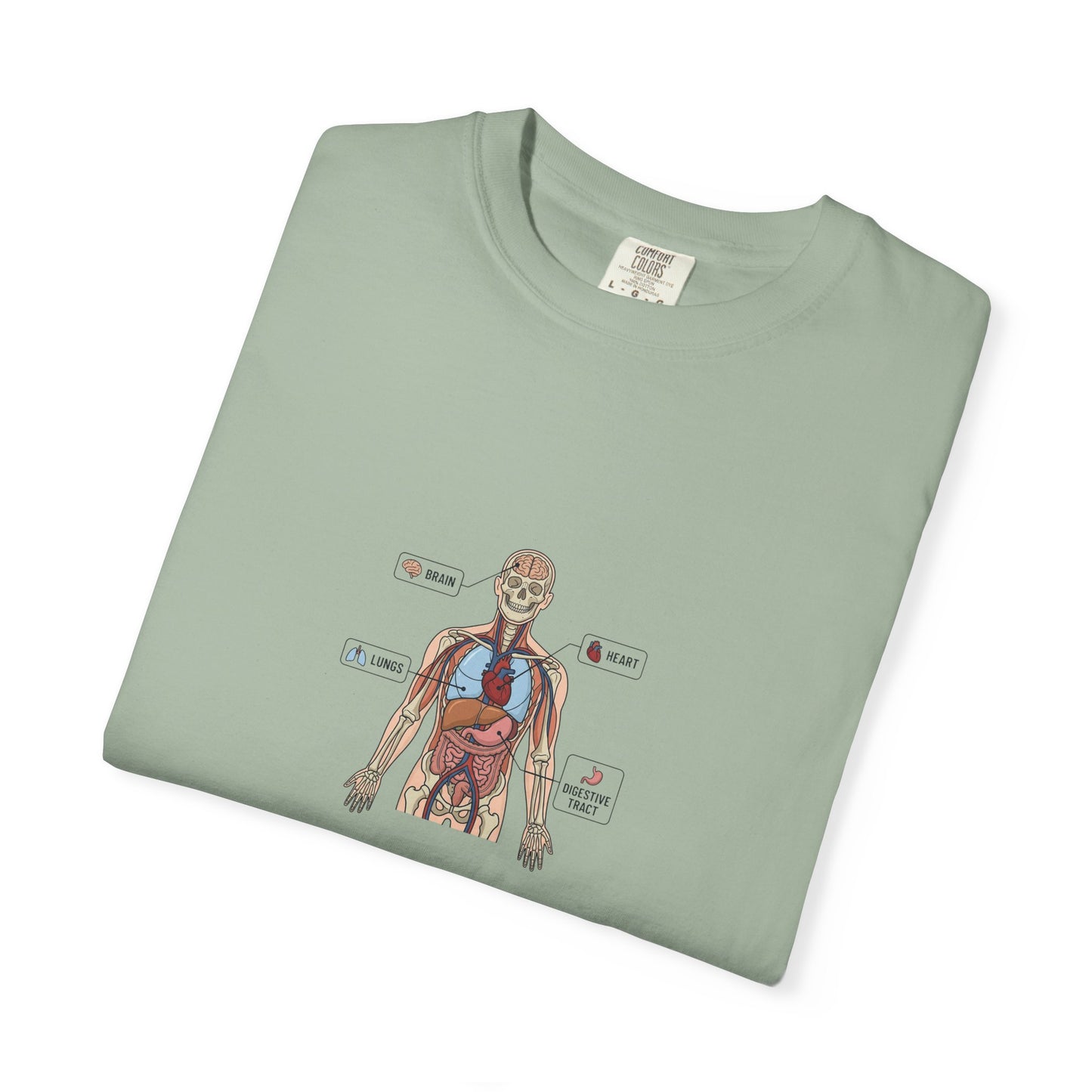 Human Anatomy Diagram T-Shirt — Medical Student Anatomy Tee