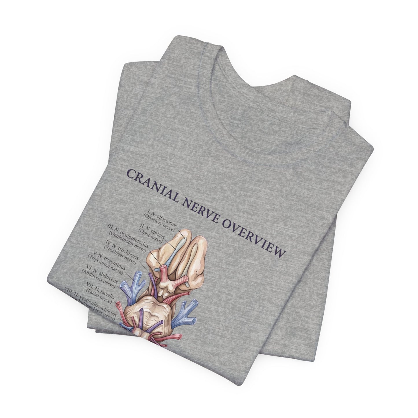 Cranial Nerve Anatomy Tee | Botanical Medical Illustration, Birth Flower Style
