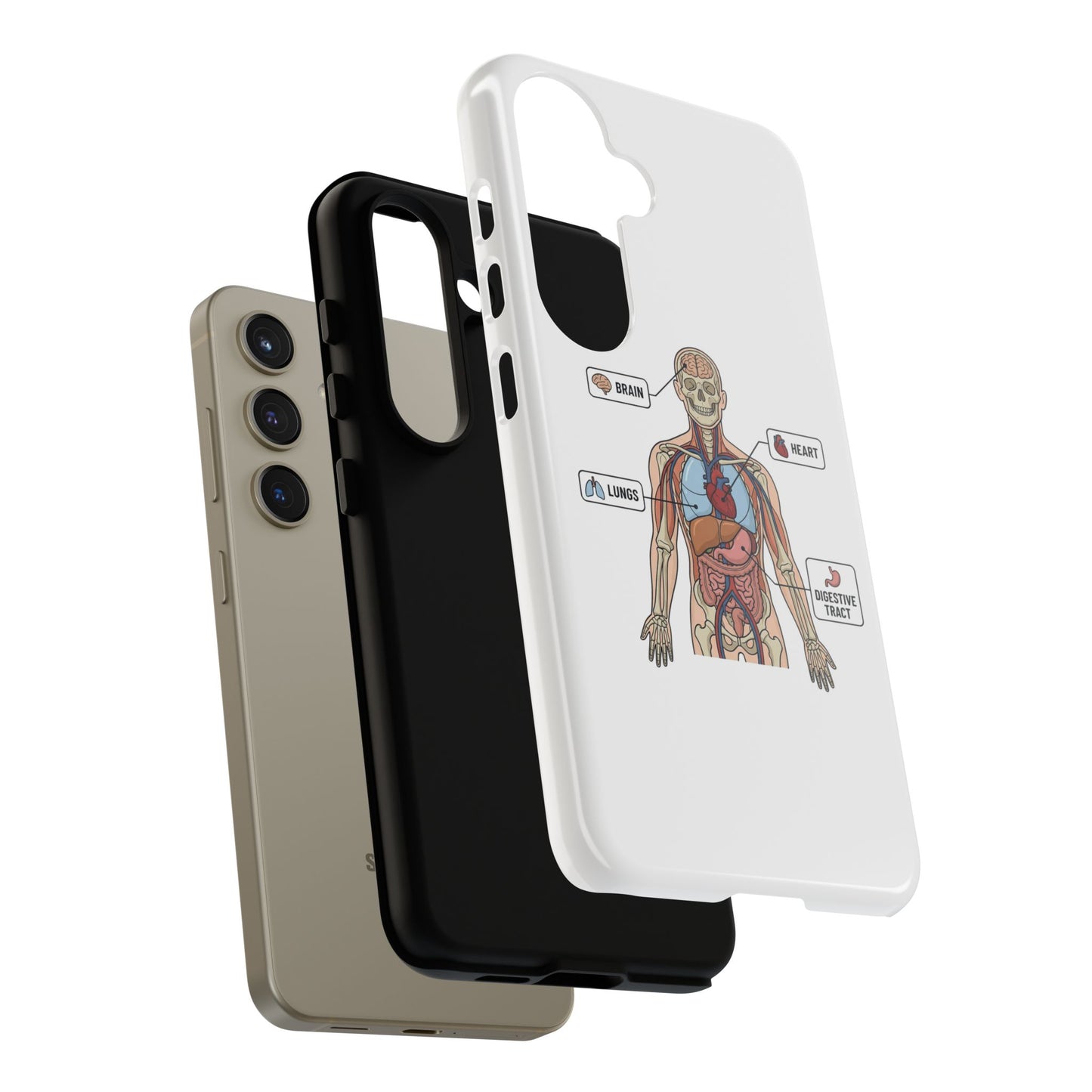 Anatomy Case — Medical Student Human Anatomy Study Aid