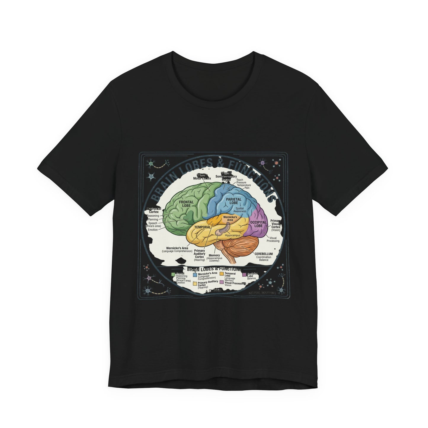 Brain Lobes & Functions T-Shirt | 250th Fourth of July, Patriotic Milestone
