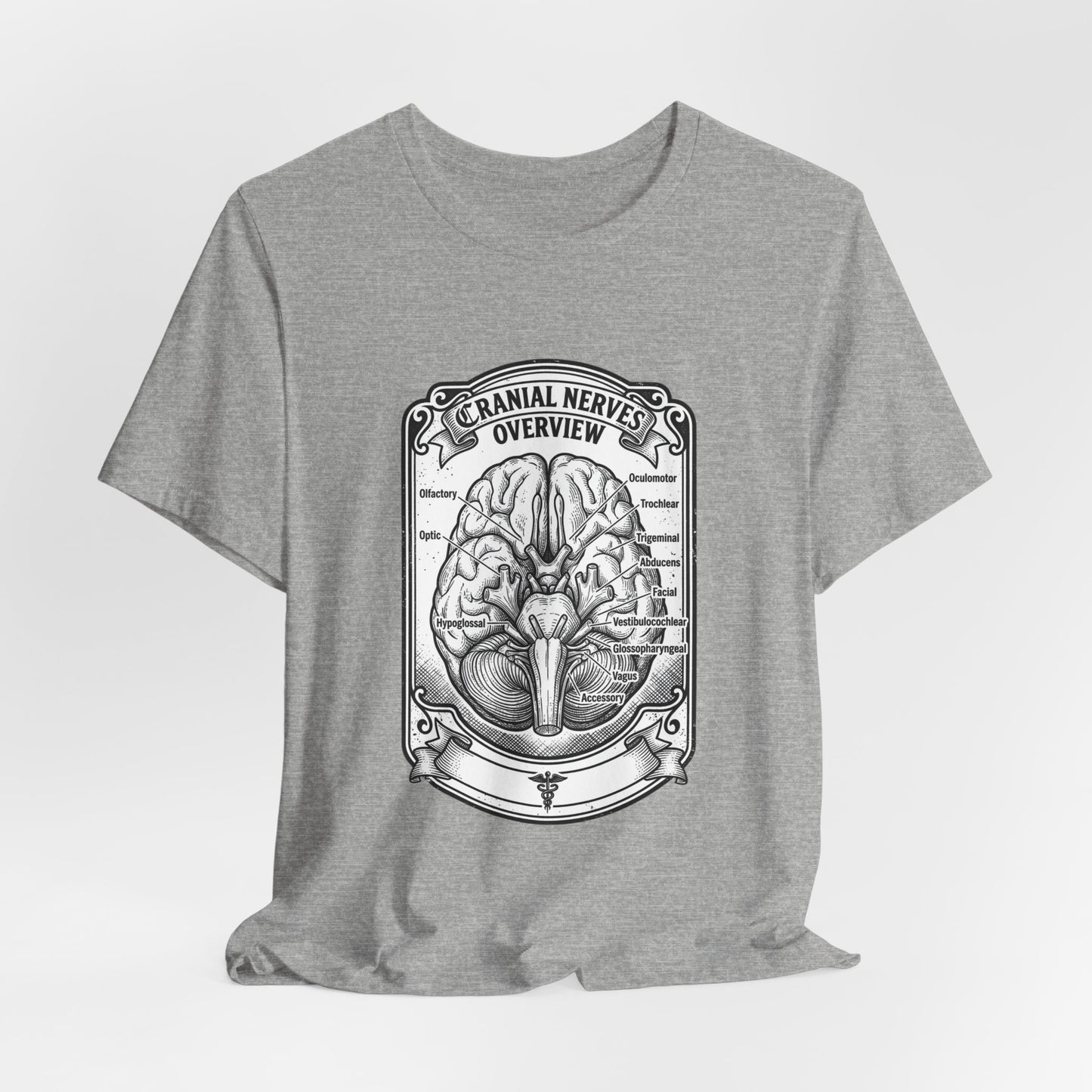 Cranial Nerves Illustration Tee | People Over Profit, Values-Led Apparel