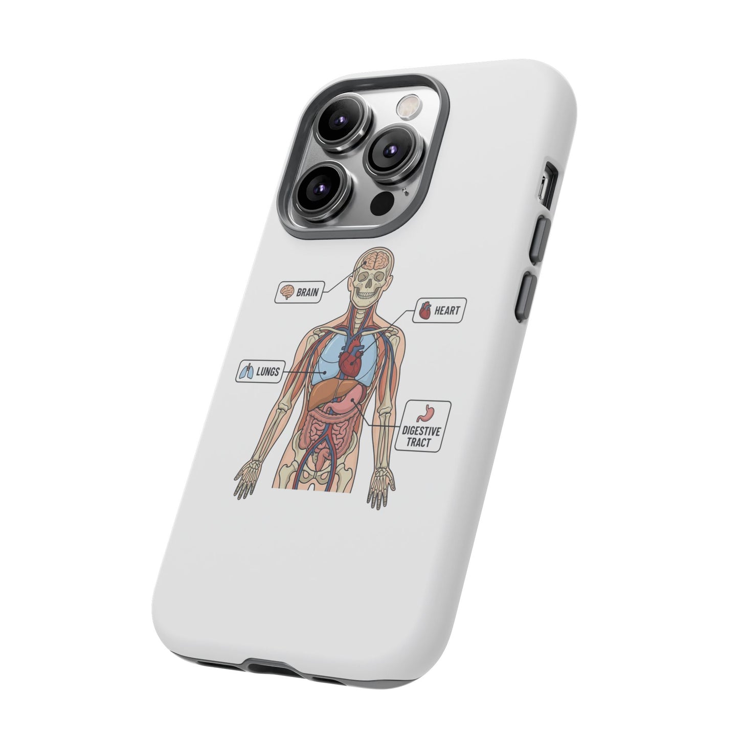 Anatomy Case — Medical Student Human Anatomy Study Aid