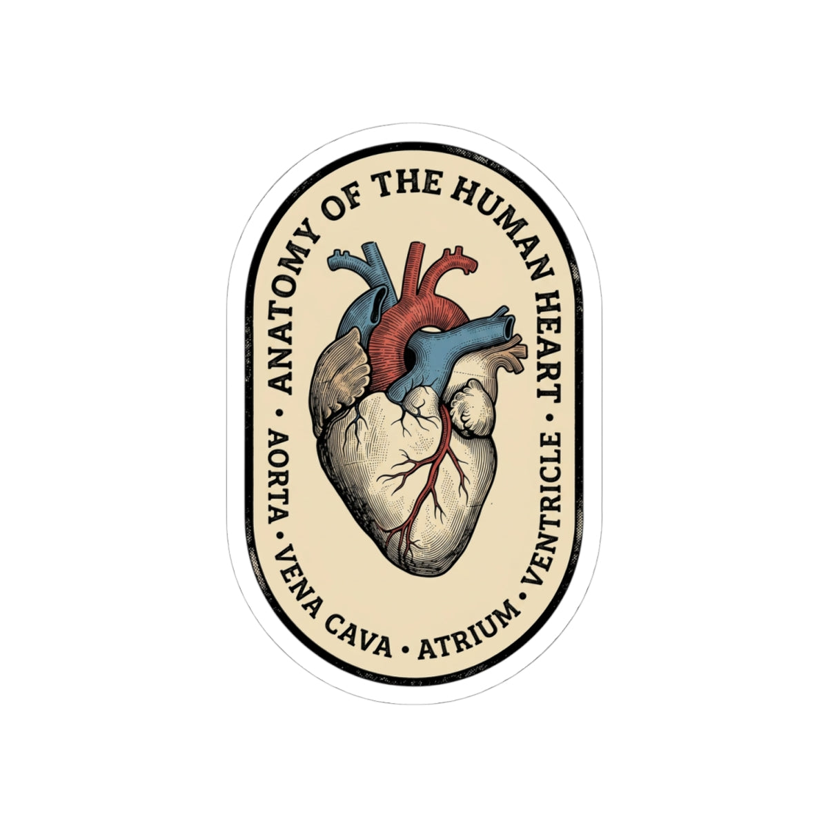 Anatomical Heart Sticker | Retro Medical Illustration, Easy Tiger vintage vacation vibe