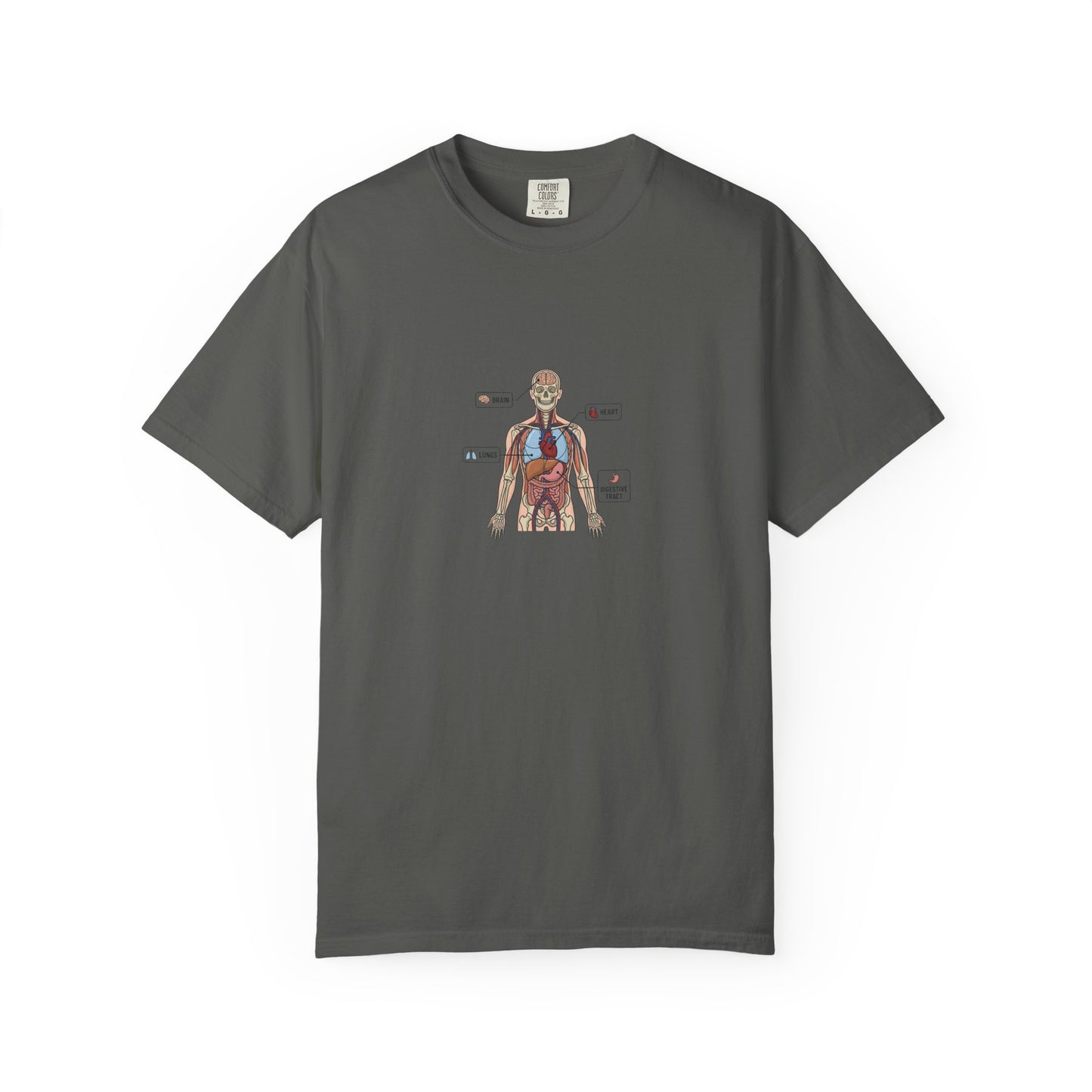 Human Anatomy Diagram T-Shirt — Medical Student Anatomy Tee