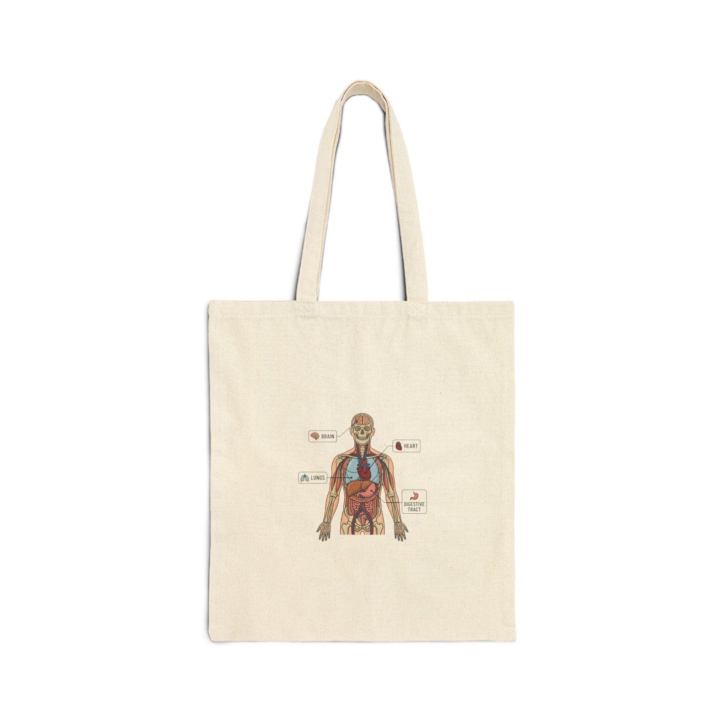 Anatomy Diagram Cotton Canvas Tote Bag — Human Anatomy Study Aid for Medical Students