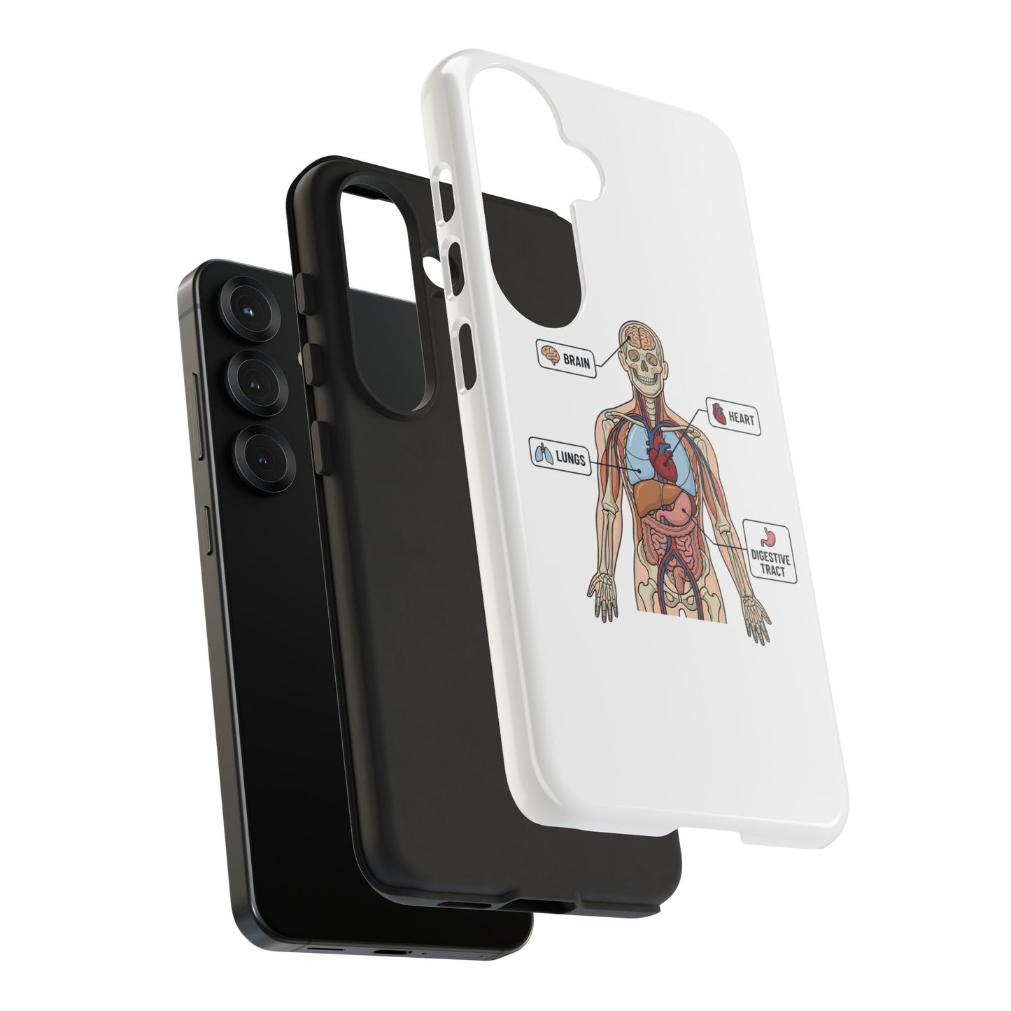 Anatomy Case — Medical Student Human Anatomy Study Aid