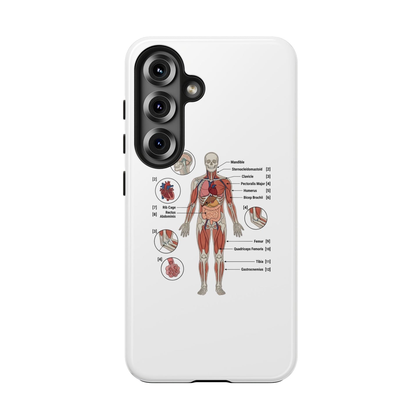 Anatomy Study Phone Case — Human Anatomy Diagram for Medical Students