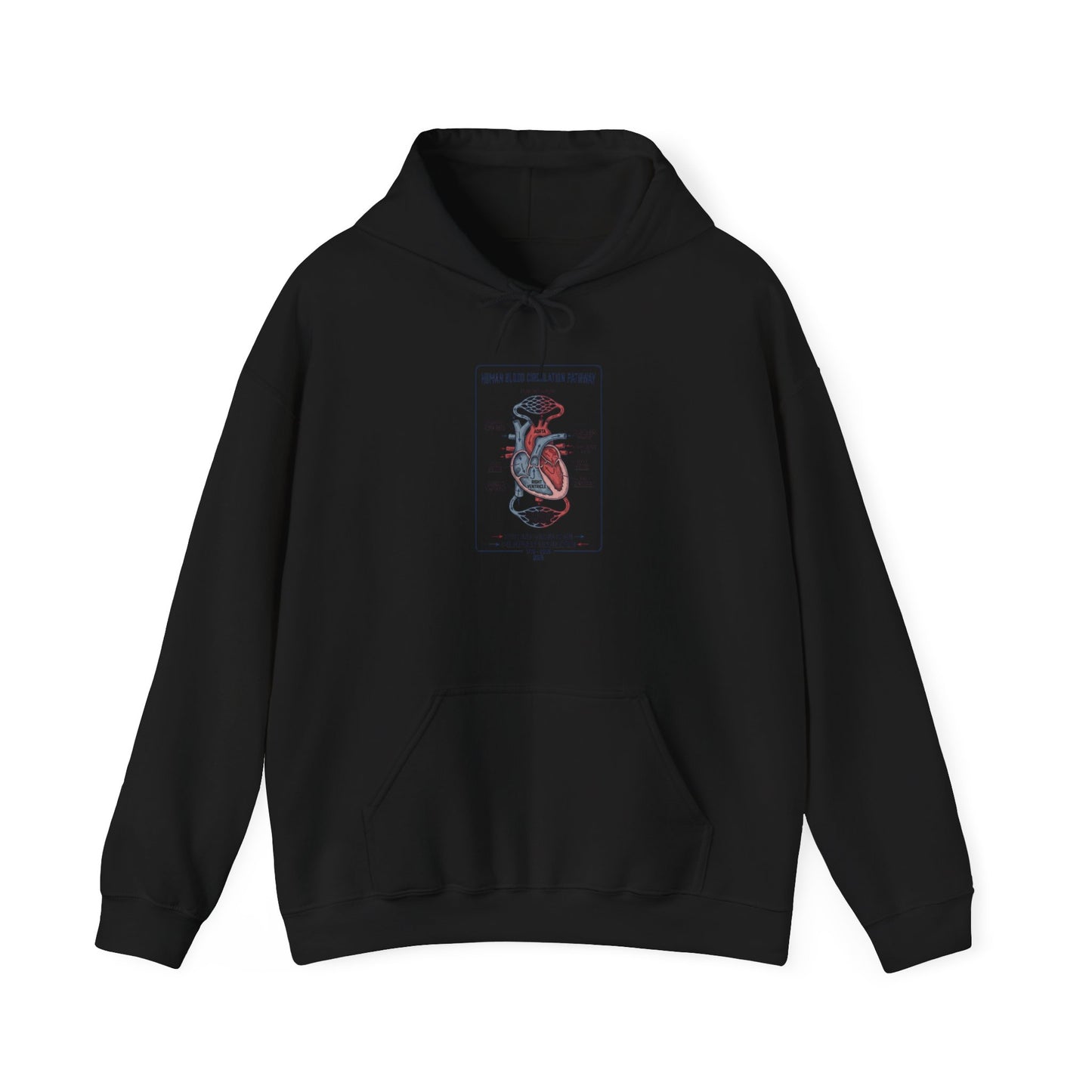 250th Anniversary Patriotic Anatomy Heart Hoodie | 4th of July Independence Sweatshirt