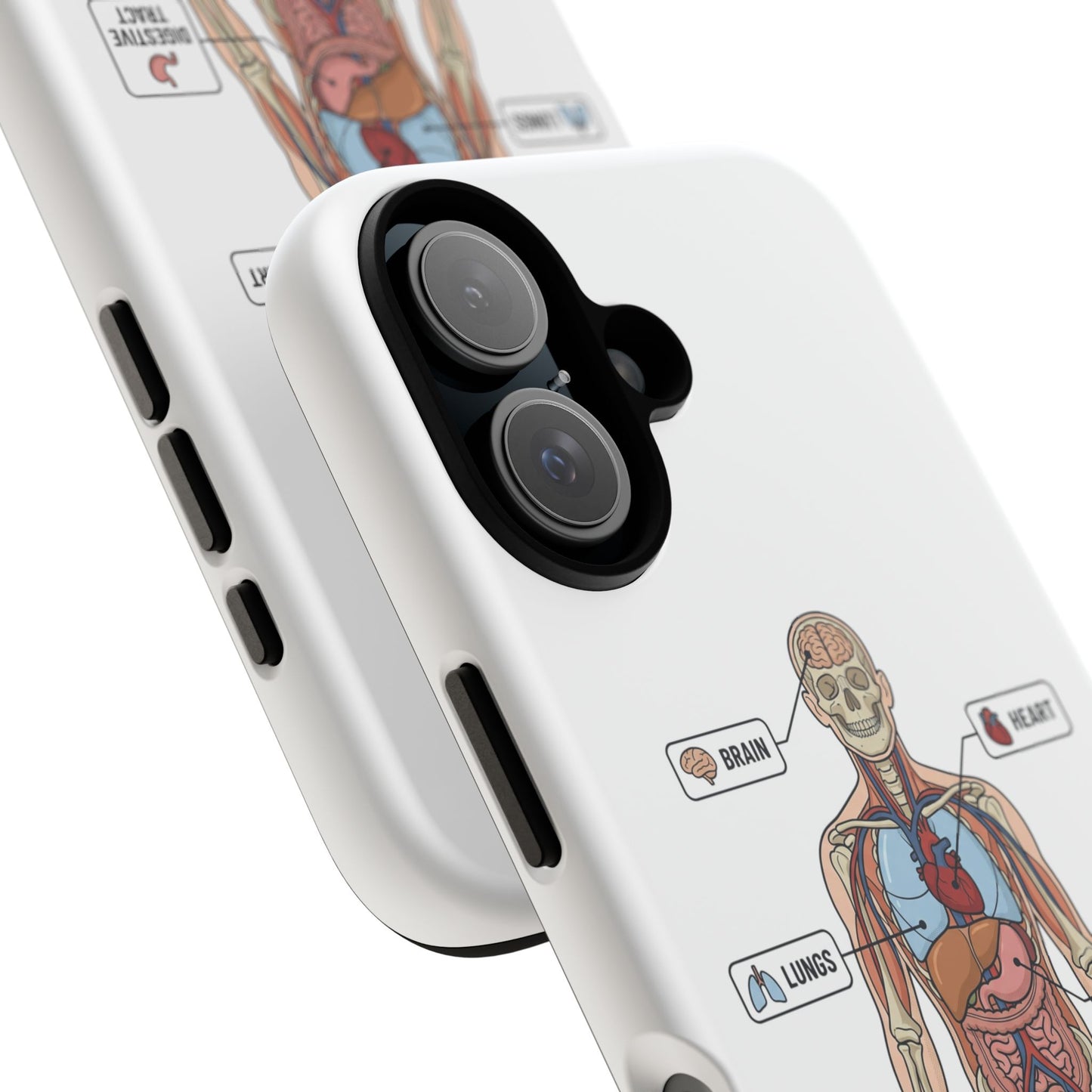 Anatomy Case — Medical Student Human Anatomy Study Aid