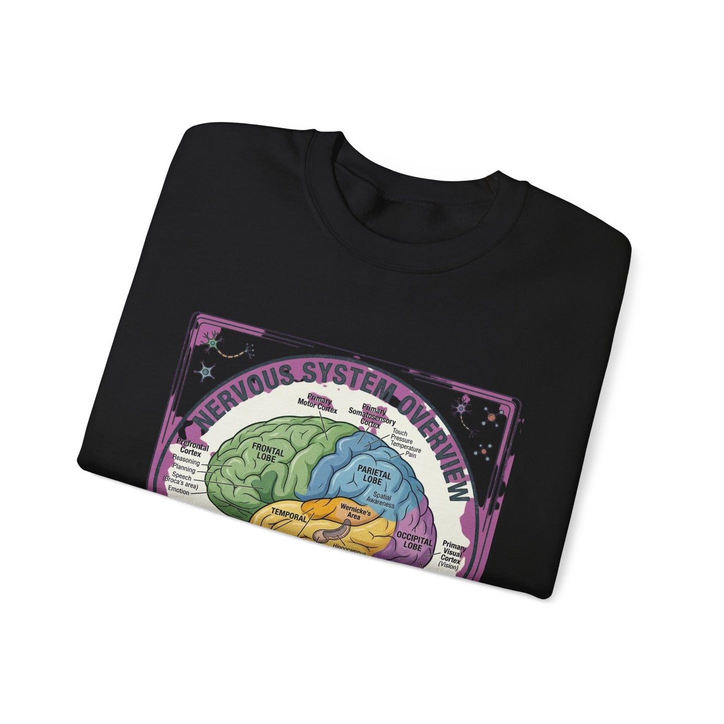 250th Anniversary Patriotic Brain Diagram Sweatshirt | 4th of July Centennial Trend