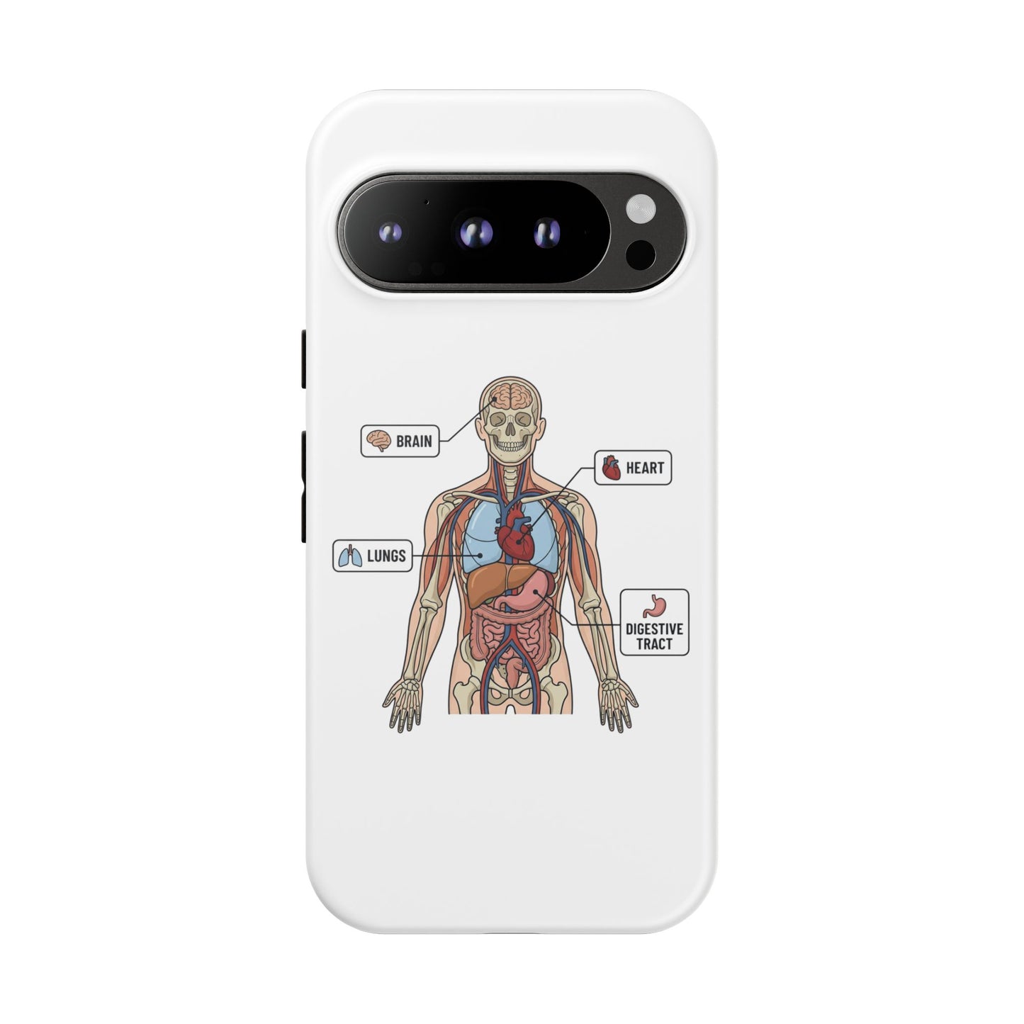 Anatomy Case — Medical Student Human Anatomy Study Aid
