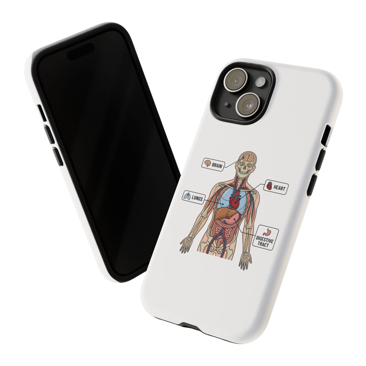 Anatomy Case — Medical Student Human Anatomy Study Aid