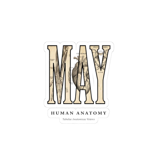 May Birth Flower Sticker | Botanical Birth Month, Vintage Floral Illustration
