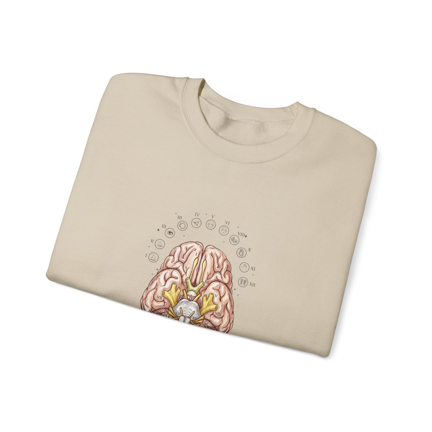Anatomical Brain Botanical Sweatshirt | Birth Flower, Botanical Anatomy